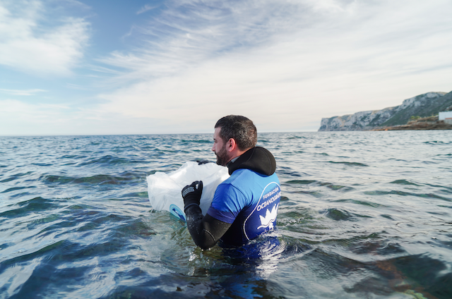 Agricultura impulsa un proyecto de cría y reintroducción de erizos de mar con la Fundación Oceanogràfic