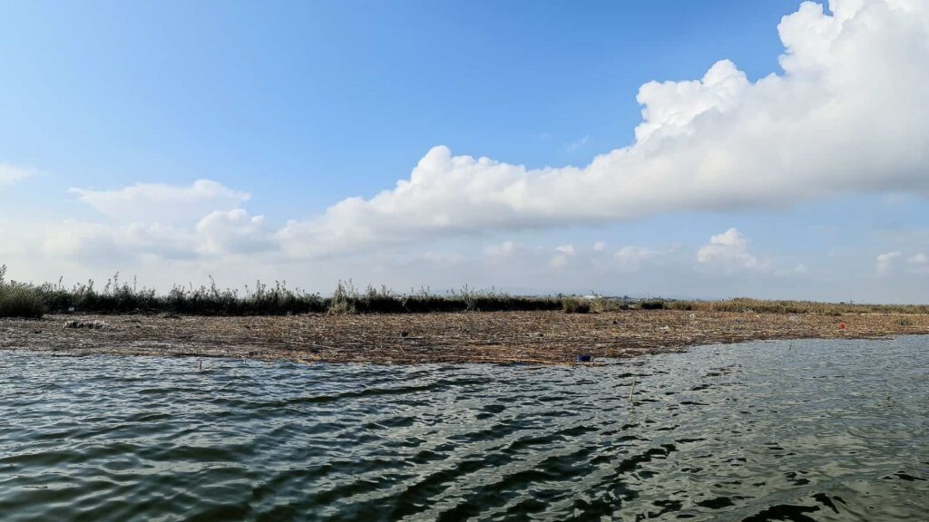 Estado actual de la Albufera de Valencia tras la DANA