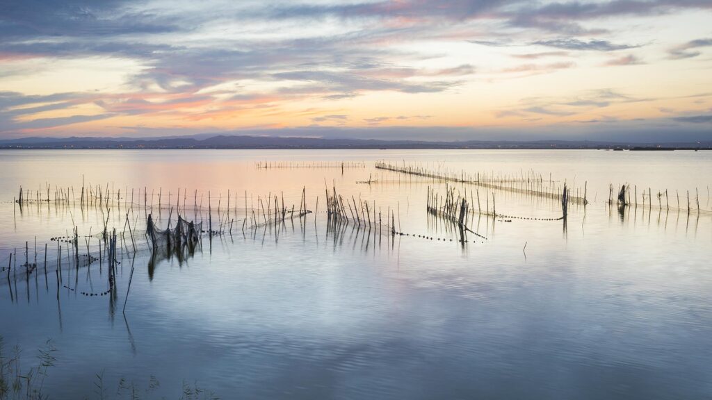 Devesa-Albufera exige a la Junta de Desagüe respetar horarios de apertura de compuertas para proteger el baño La albufera al atardecer
