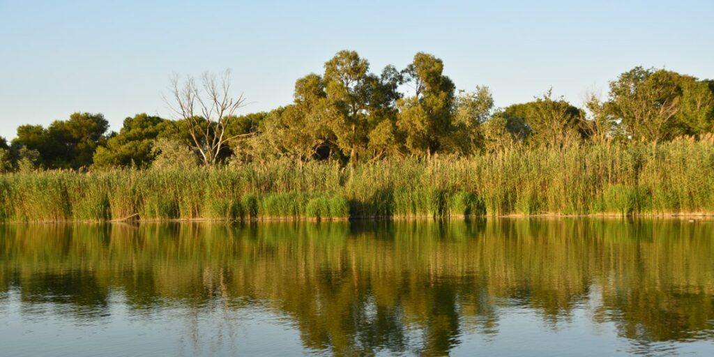El área metropolitana de Valencia reutilizará el 75 % de su agua depurada para el riego