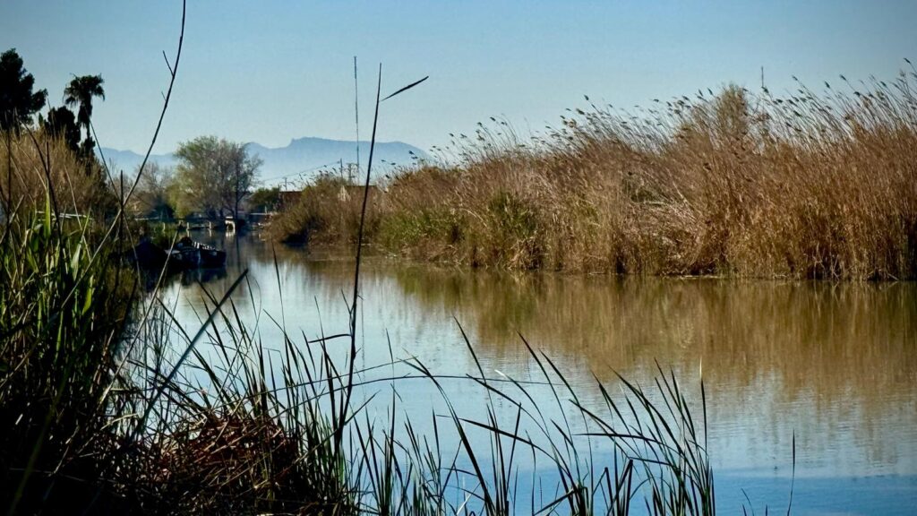Vista panorámica de La Albufera