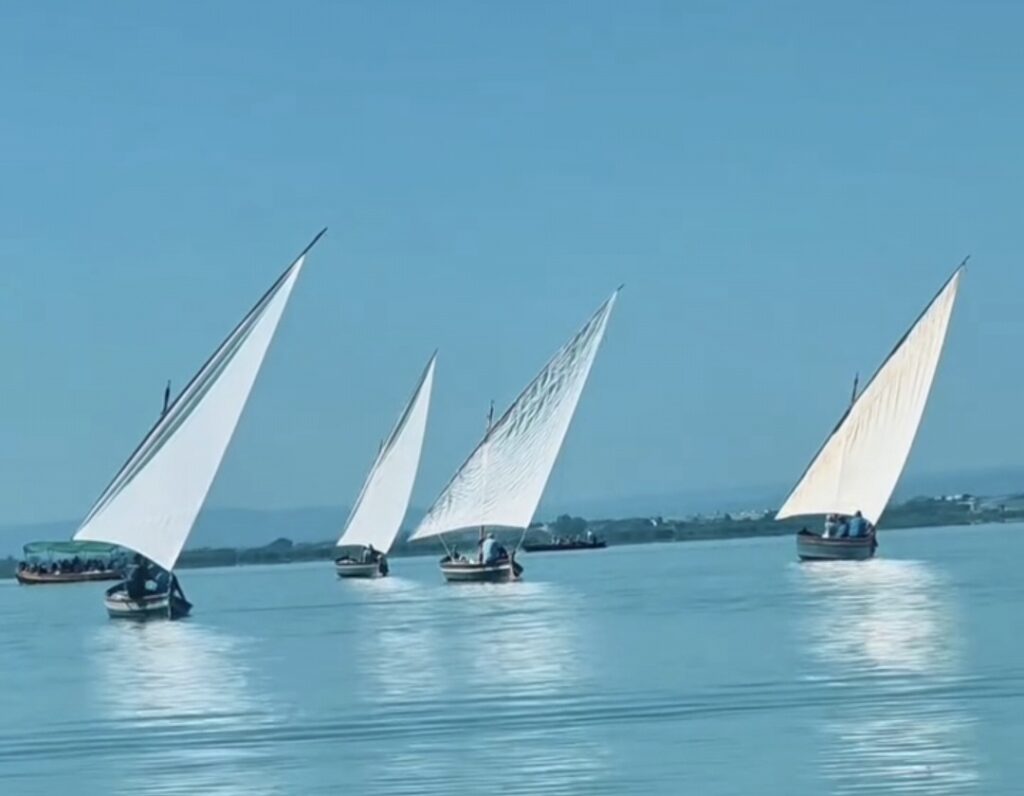 Vela latina en El Palmar: tradición en la Albufera